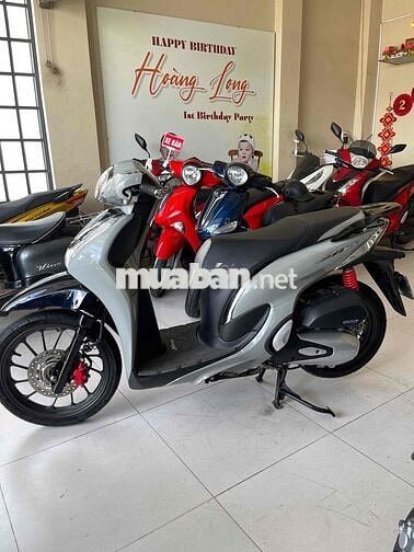 shmode . mẫu mới. màu xi măng. zin nguyên bản