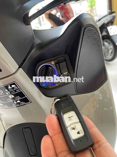 shmode . mẫu mới. màu xi măng. zin nguyên bản