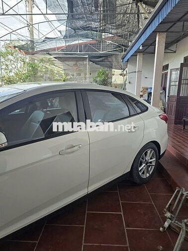 Ford Focus 2017 Trắng Tự động