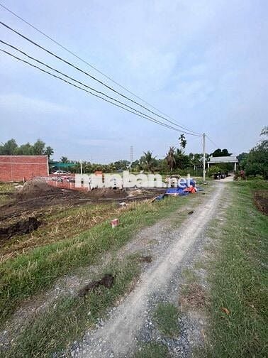 Đất Hoà Khánh Đông giá rẻ sổ hồng riêng chính chủ dân đông 650 triệu