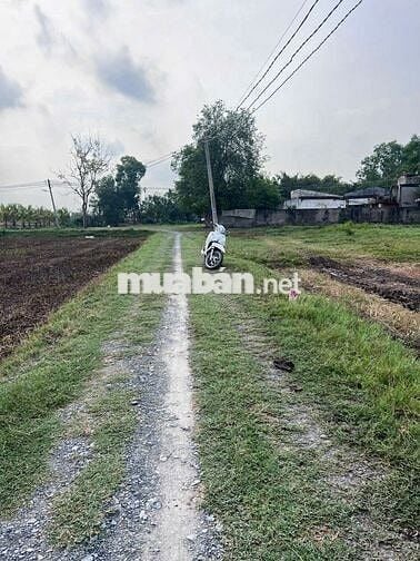 Đất Hoà Khánh Đông giá rẻ sổ hồng riêng chính chủ dân đông 650 triệu