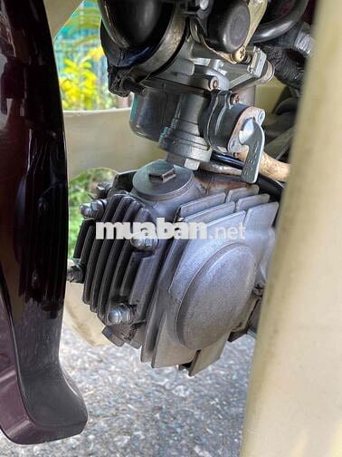 Honda Dream Thái 7 Số Nâu, Trắng