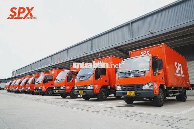 Soạn hàng, đóng gói kho LCB + PC từ 8tr