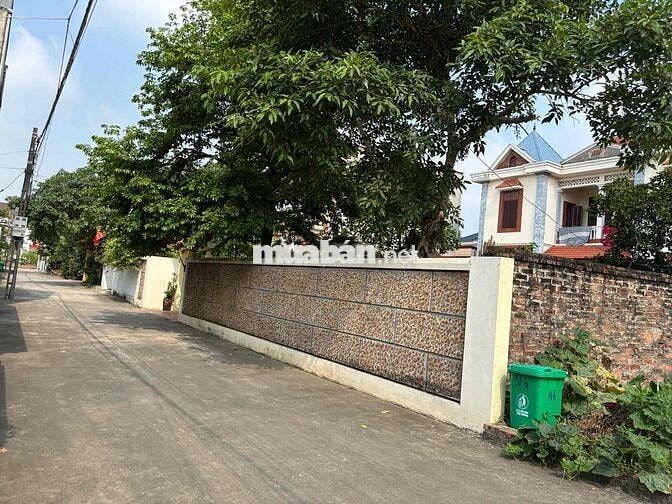 ĐƯỜNG THÔNG, Ô TÔ TRÁNH, HÀNG XÓM BIỆT THỰ- DÂN CƯ ĐÔNG ĐÚC