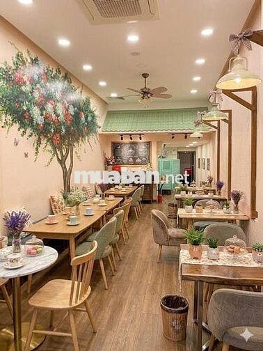 🍑 Mặt Tiền Hồ Tùng Mậu Q1 – Khu Tài Chính Sầm Uất