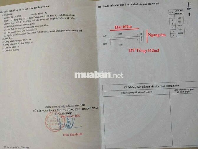 612m2 đất trồng cây hàng năm khác