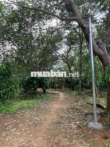 Bán đất tại Thôn 1, Đoàn Kết, Huyện Bù Đăng, 6,2 tỷ, 7584 m2