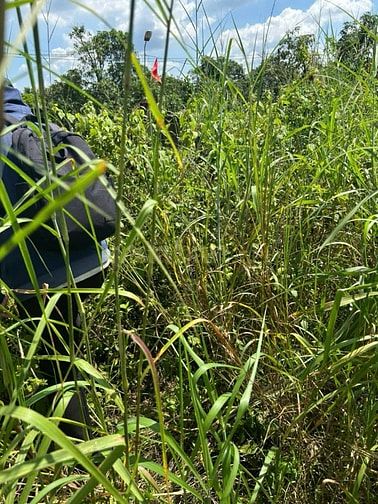 Thông báo đấu giá tài sản của ông Đoàn Viết Toàn và bà Phạm Thị Huyền 