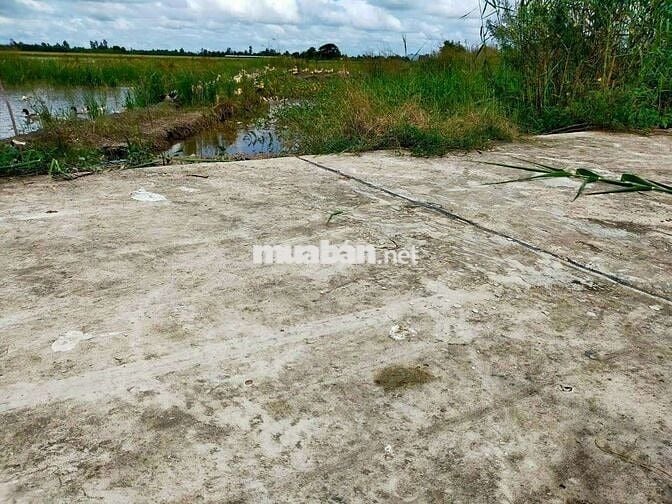 Bán Đất Ruộng. Phường Vĩnh Thông. An Giang mới