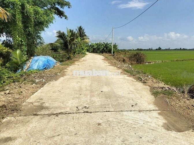 Bán Đất Ruộng. Phường Vĩnh Thông. An Giang mới