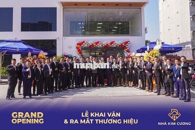Nhà Kim Cương Tuyển Cộng Sự Cùng Team Máu Chiến