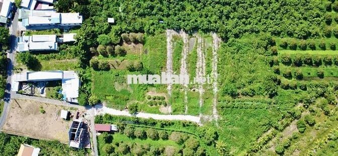 🔥 LÔ ĐẤT DIỆN TÍCH 10x56 CÓ THỔ CƯ GIÁ TỐT – PHƯỜNG TÂN NGÃI 🔥