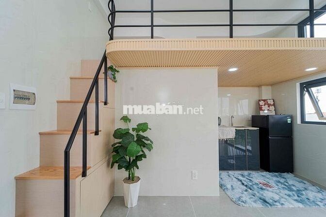 🌺Khai Trương 40P Duplex Luxury Có Ban Công Ngay Tân Hoà Đông 🌺