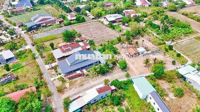 Cắt Lỗ Lô đất MT siêu đẹp trong tuần này