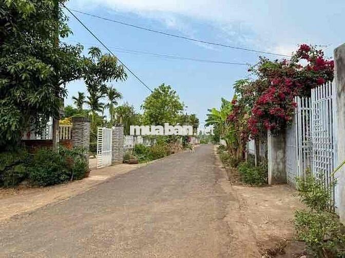 Bán Lô Đất Làm Nhà Vườn rào sẵn,tại Bình Phước nay Là Đồng N