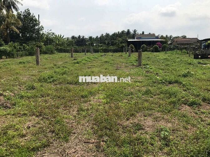 Bán nền diện tích lớn giá rẻ 331m² xã Quơn Long huyện Chợ Gạo cũ