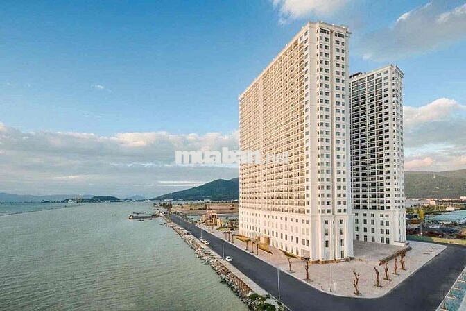 Bán căn hộ studio khách sạn Golden Bay 5 sao có sẵn dòng tiền thuê