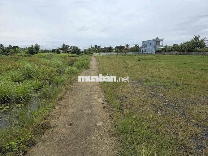 Chỉnh Chủ bán Lô Đất Đẹp 100m2 500 Triệu