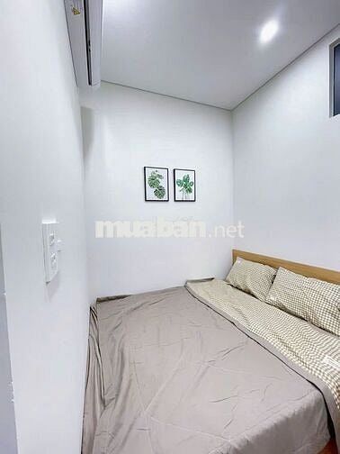 Studio apartments for foreign guests