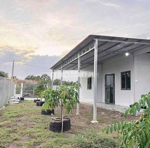 Cần bán gấp nhà vườn gấp trong ngày. Tổng diện tích cái Vường 1000m2.