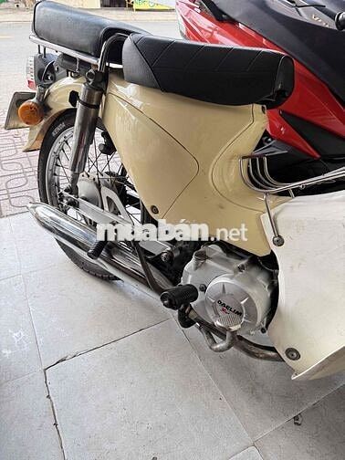 Honda Cup 50 Trắng ngà