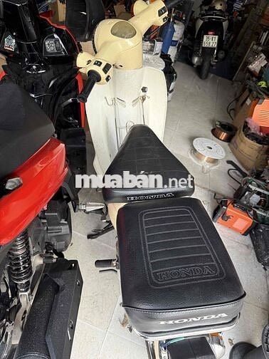 Honda Cup 50 Trắng ngà