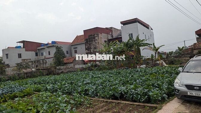 Bán lô đất đẹp 104m2 Nguyễn Bình | Ô tô tránh| 15.5tr /m2