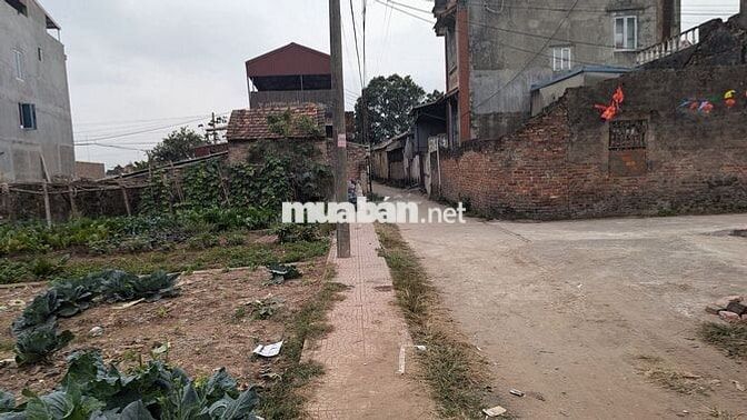Bán lô đất đẹp 104m2 Nguyễn Bình | Ô tô tránh| 15.5tr /m2