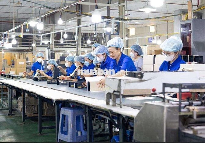 10 LĐPT LÀM CÔNG TY BAO BÌ, HỘP GIẤY THỦ ĐỨC