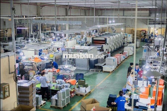 10 LĐPT LÀM CÔNG TY BAO BÌ, HỘP GIẤY THỦ ĐỨC