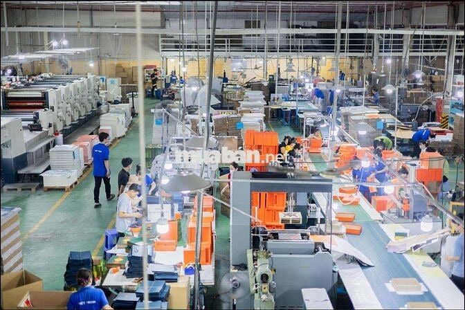 10 LĐPT LÀM CÔNG TY BAO BÌ, HỘP GIẤY THỦ ĐỨC