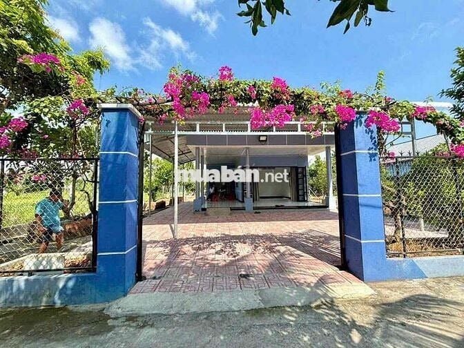 🔥 CHÍNH CHỦ BÁN GẤP: Hơn 500m² ĐẤT VƯỜN  – CHỈ 510 TRIỆU!