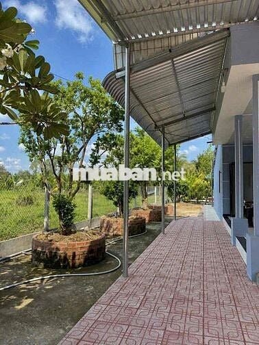 🔥 CHÍNH CHỦ BÁN GẤP: Hơn 500m² ĐẤT VƯỜN  – CHỈ 510 TRIỆU!