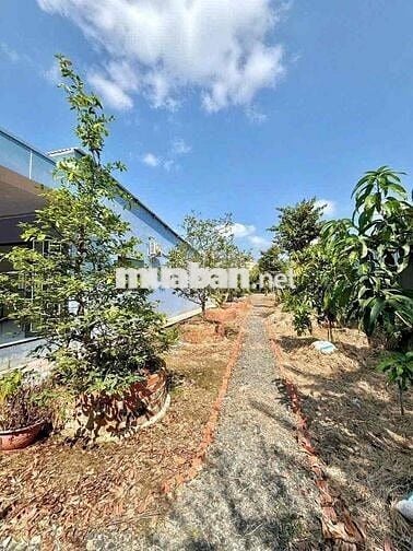 🔥 CHÍNH CHỦ BÁN GẤP: Hơn 500m² ĐẤT VƯỜN  – CHỈ 510 TRIỆU!