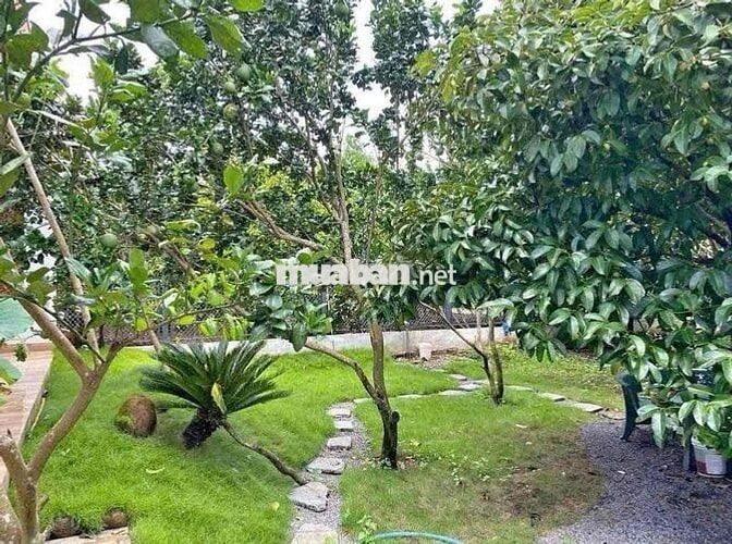 🏡 Bán đất nhà vườn cấp 4 tại Bình Dương