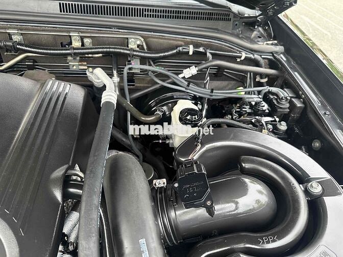 Ford Everest Đen