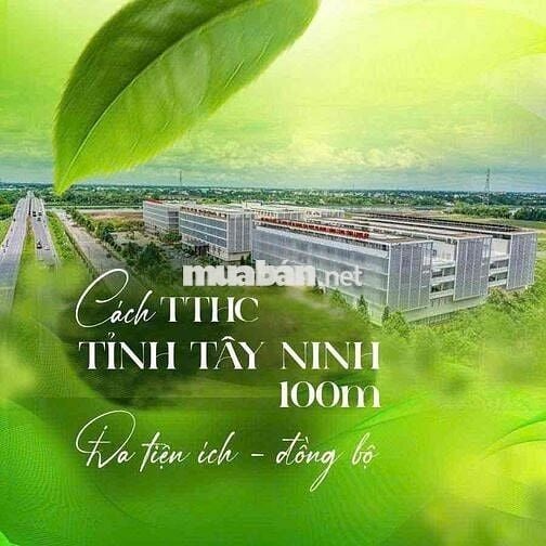 Bán Gấp Căn Villa Chưa 4.TY  Công Chứng Trong Ngày