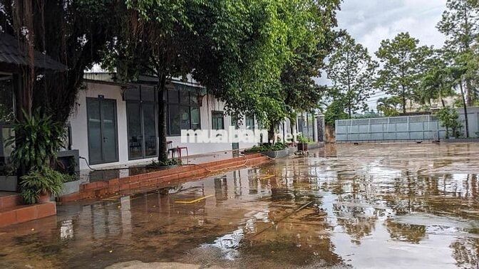 Đất 2,590 m2 + nhà xưởng phù hợp cho thuê làm kho hoặc làm công nghiệp