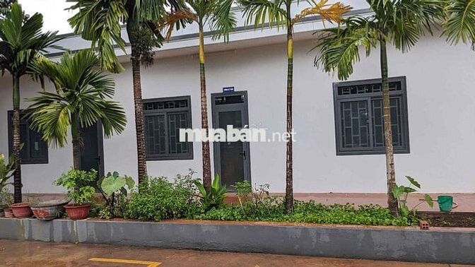 Đất 2,590 m2 + nhà xưởng phù hợp cho thuê làm kho hoặc làm công nghiệp