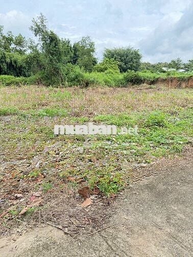 CẦN BÁN ĐẤT VỊ TRÍ ĐẸP PHƯỜNG TÂN PHÚ – THÀNH PHỐ ĐỒNG NAI