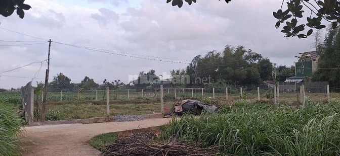 666tr có ngay 597m2 đất view núi Thiên Ấn, ô tô tận nơi