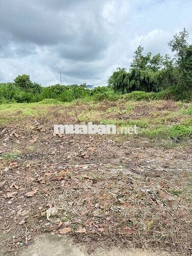 CẦN BÁN ĐẤT VỊ TRÍ ĐẸP PHƯỜNG TÂN PHÚ – THÀNH PHỐ ĐỒNG NAI