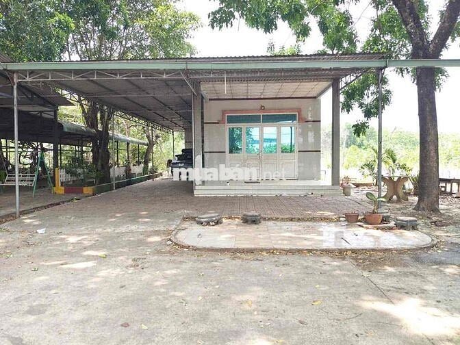 420Tr – HƠN 500m² CÓ SẴN THỔ CƯ