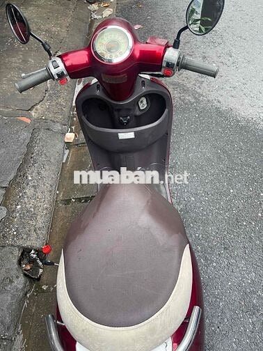 Xe máy Xe 50 Đỏ