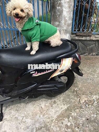 Yamaha Mio Classico màu Đen