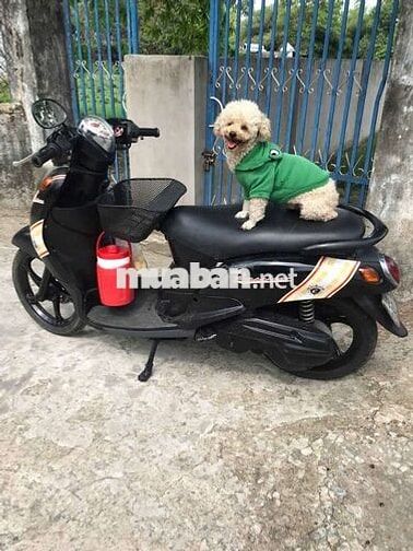 Yamaha Mio Classico màu Đen
