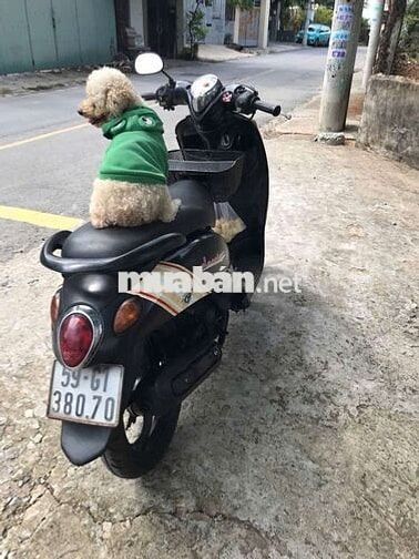 Yamaha Mio Classico màu Đen