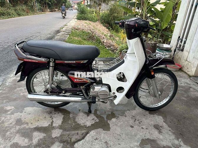 Honda Dream II 1999 Nâu trắng