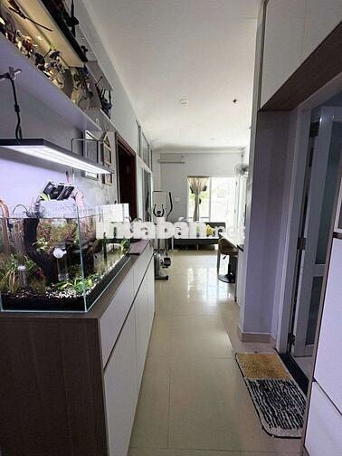 Căn hộ đẹp TM 50m2 full nội thất gỗ cao cấp ,ngày ngã tư  Bình Thái