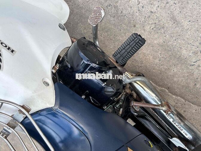 Honda Cub 50cc 2019 Xanh trắng